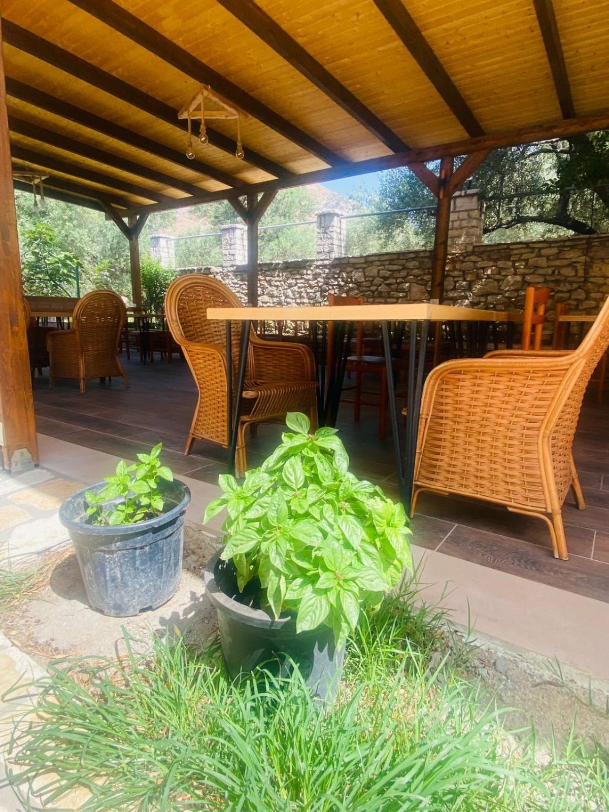 Irini'S Guesthouse 체파로 외부 사진